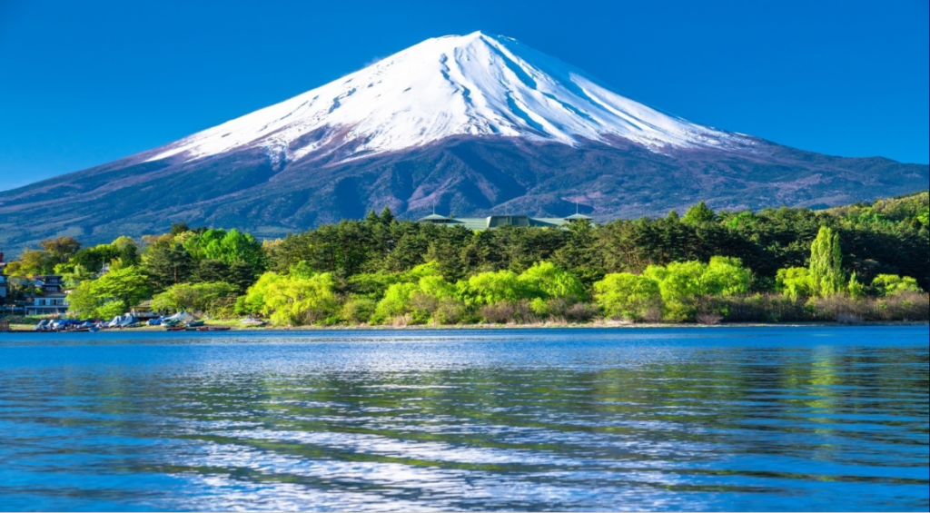 Mount Fuji rising snow‑capped above a calm lake, bordered by dense green forest and small shoreline buildings.