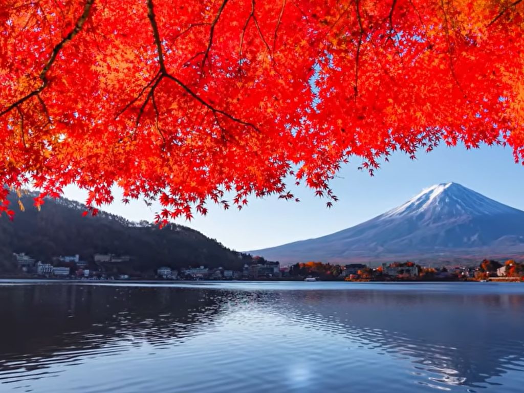 Snow‑capped Mount Fuji reflected in a calm lake, with bright red maple leaves arching over the scene in autumn.
