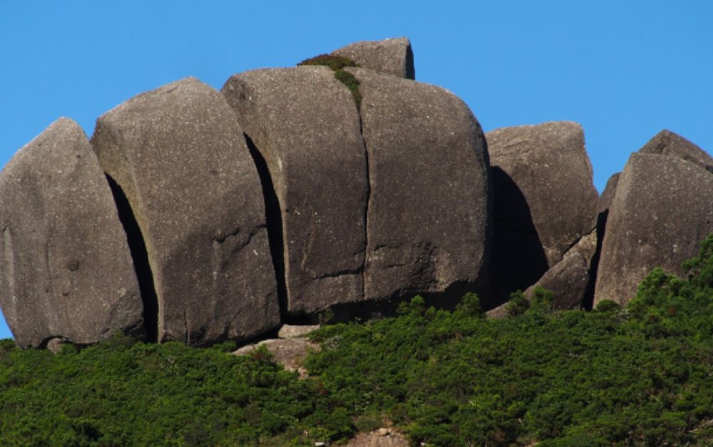 A cluster of large light‑gray granite blocks rising above dense green forest vegetation under a clear blue sky on Yakushima Island.