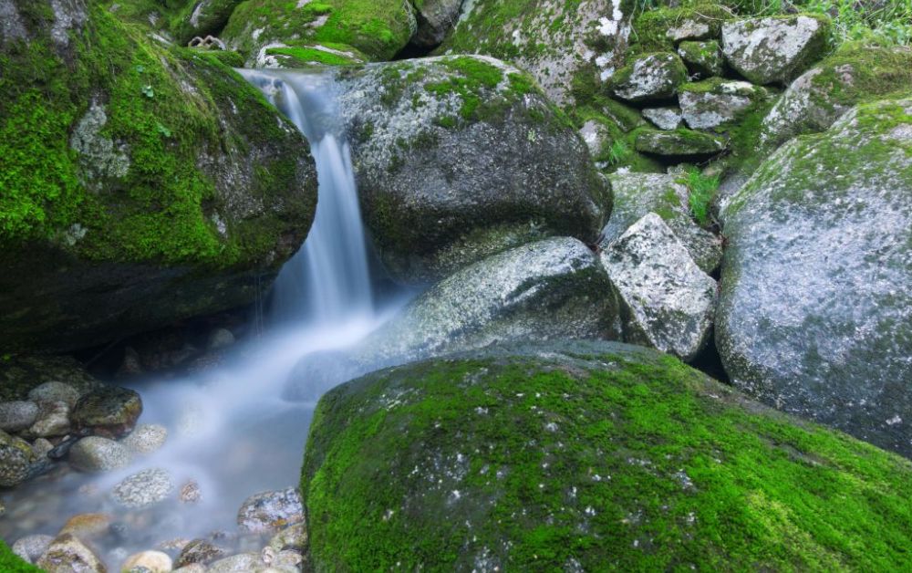 stream through moss covered granite, shiratani unsuikyo, yakushima