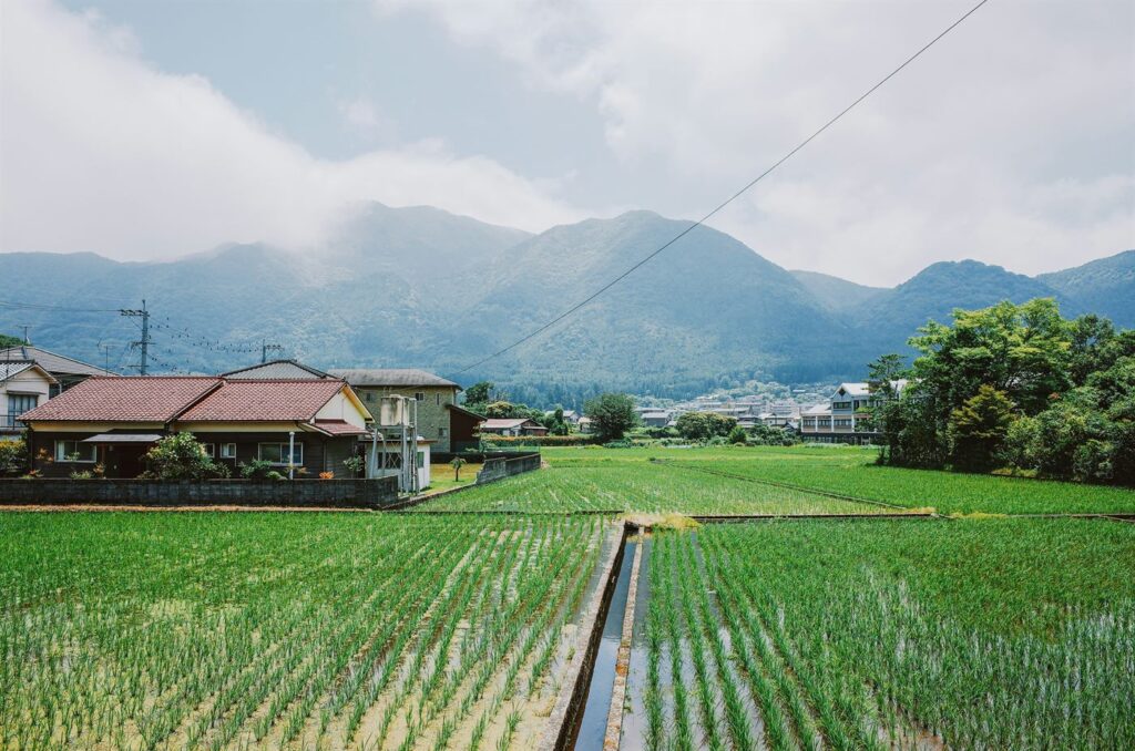 Traditional Japanese farmhouse beside terraced rice fields with misty mountain backdrop, a satoyama landscape