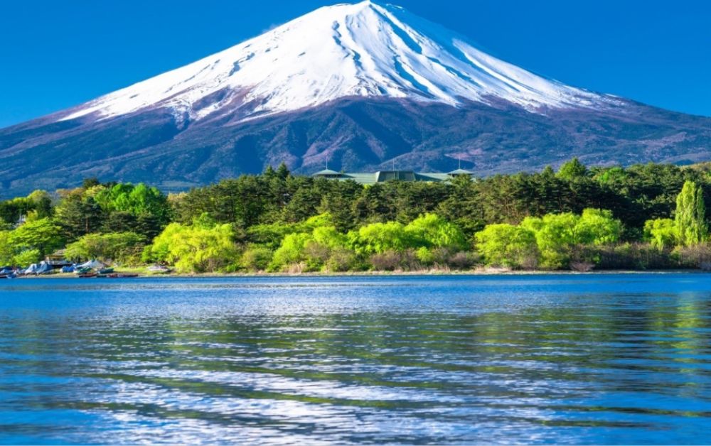 Snow-covered Mount Fuji reflected in Lake Kawaguchi with green forest along the shore.