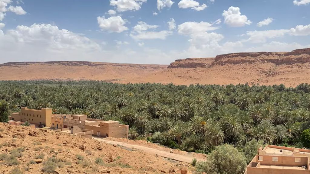 Terrace of a traditional eco-lodge overlooking a palm oasis and mountains in Morocco’s Anti-Atlas