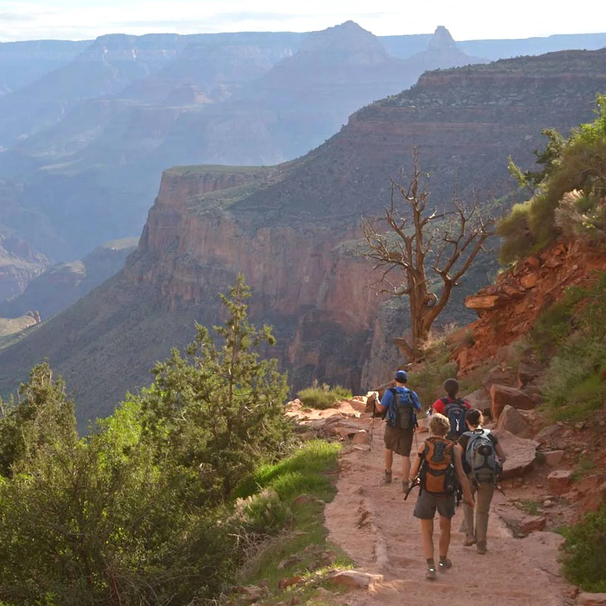 Hikers descending the Bright Angel Trail at dawn